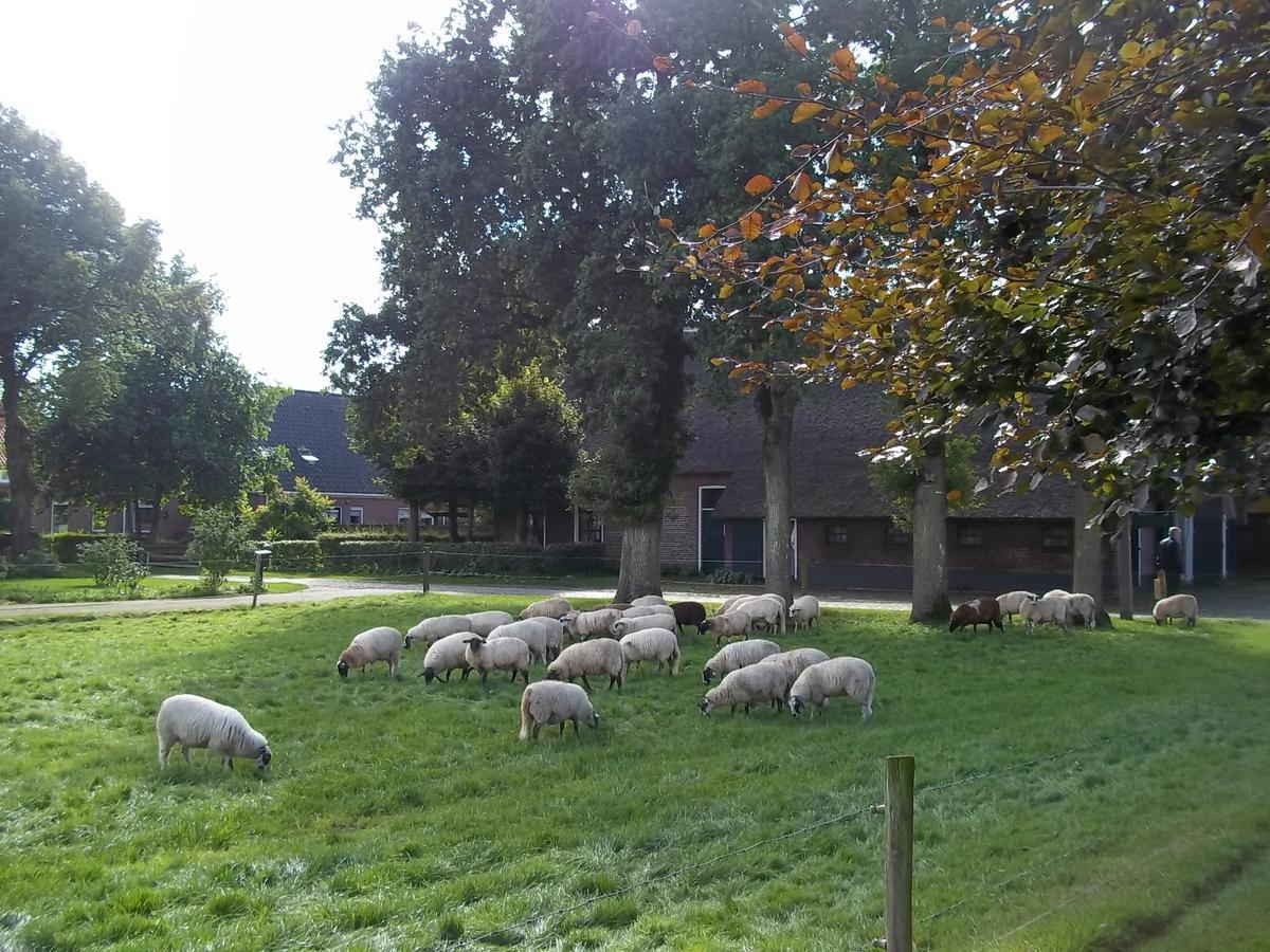 B&B Slaoperij Orvelte Zewnętrze zdjęcie